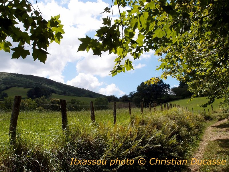 18-Itxassou.jul.11_byDucasse.0027.jpg - Quand on goûte aux offrandes du village d'Itxassou magnifié par le génie de Beñat Achiary,  on ne cessera de cultiver ce jardin généreux. Poésie, chant, danse (les basques ne cessent de danser), improvisations, composent les propositions d'Errobiko festibala, qui sous la lumière du pays basque comblent les visiteurs  avides de sensations inédites.