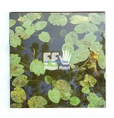 Full Fathom Five : “Bison Ravi“