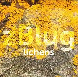 zBLUG . Lichens