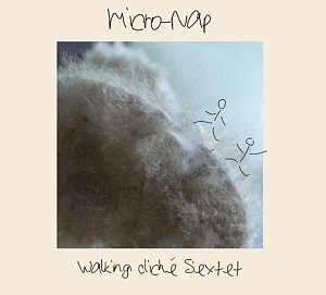 Walking Cliché Sextet - SeaJun Kwon . Micro-Nap