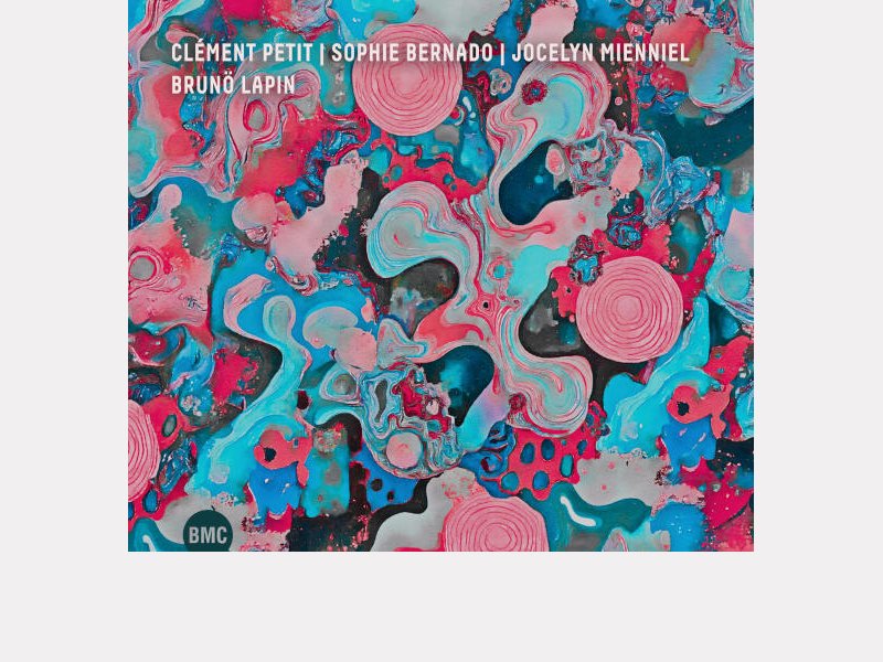 CLÉMENT PETIT - SOPHIE BERNADO – JOCELYN MIENNIEL . Brunö Lapin