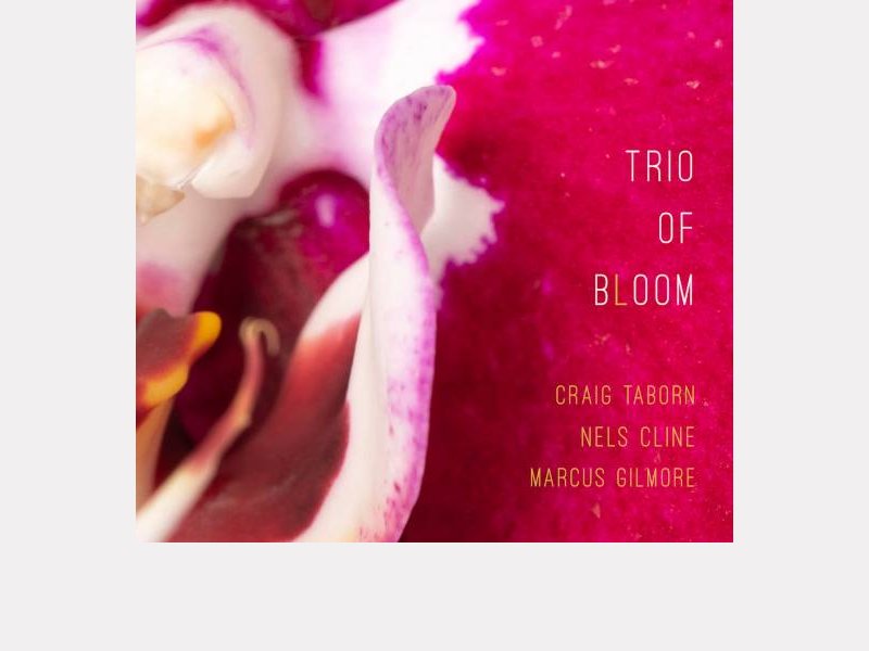 CRAIG TABORN - NELS CLINE - MARCUS GILMORE . Trio Of Bloom