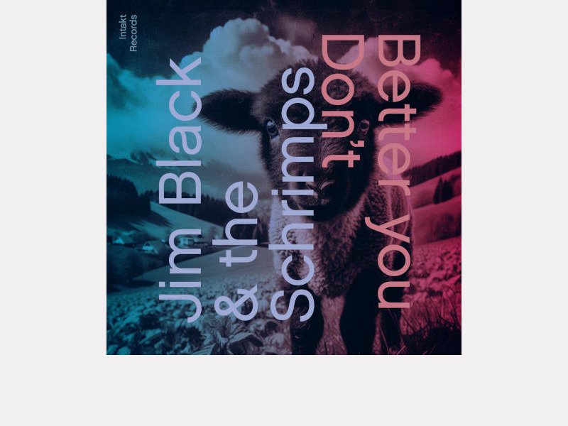 JIM BLACK & THE SCHRIMPS . Better You Don't