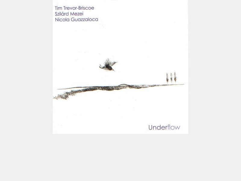 Tim Trevor-Briscoe / Szilárd Mezei / Nicola Guazzaloca : "Underflow"