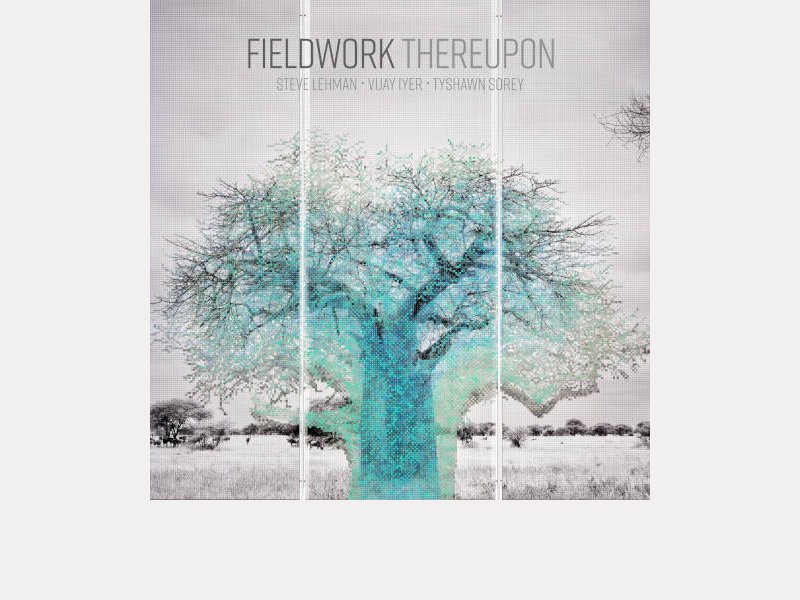 FIELDWORK . Thereupon