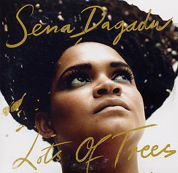 Sena DAGADU : "Lots of Trees"