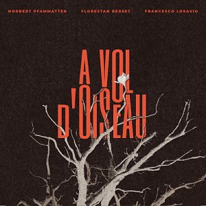 FLORESTAN BERSET - NORBERT PFAMMATTER - FRANCESCO LOSAVIO . À vol d'oiseau, FSR Records 2024