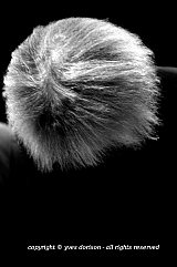 Carla Bley