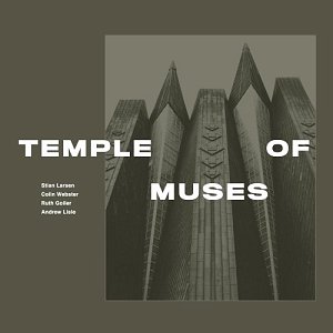 STIAN LARSEN - COLIN WEBSTER - RUTH GOLLER - ANDREW LISLE . Temple of Muses, Relative Pitch records, USA, 2025