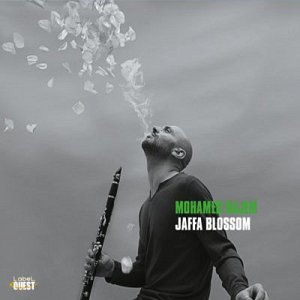 MOHAMED NAJEM QUARTET . Jaffa Blossom