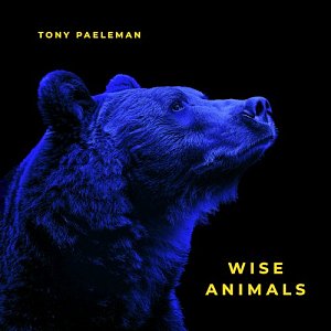 TONY PAELEMAN . Wise Animals, label Shed music, France, 2024