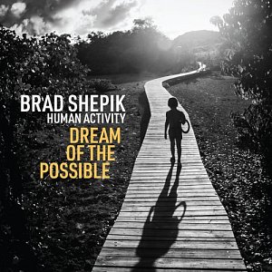 BRAD SHEPIK . Human Activity: Dream of the Possible, Shifting Paradigm records, USA, 2024