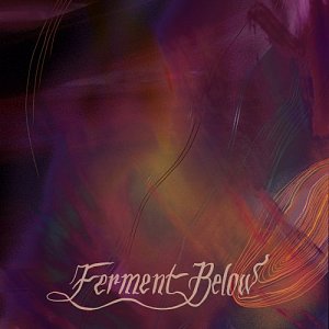 JACOB SHULMAN . Ferment Below, Endectomorph records 2024