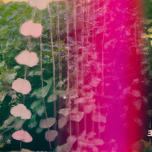 SNOWPOET . Heartstrings, label Editions records, Royaume-Uni, 2025