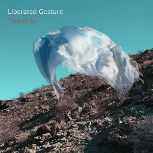 Yuhan Su . Liberated Gesture
