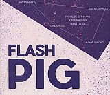 FLASH PIG : "Flash Pig"