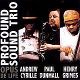 Profound Sound Trio : « Opus de Life »