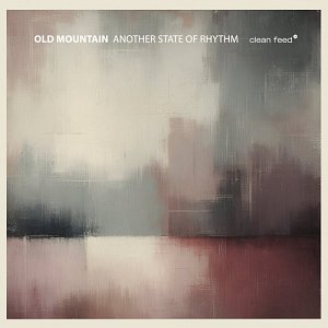 OLD MOUNTAIN Feat. TONY MALABY . Another State of Rhythm, album Clean Feed records 2024