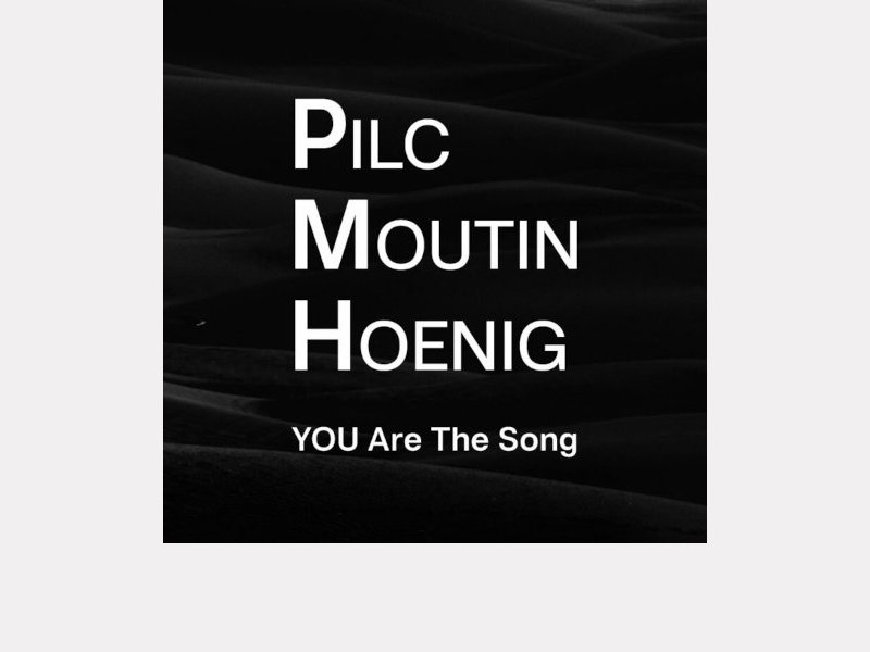 Pilc – Moutin – Hoenig . YOU are The Song