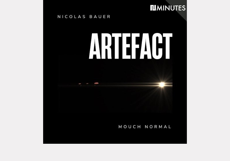 Nicolas Bauer Artefact . Mouch Normal
