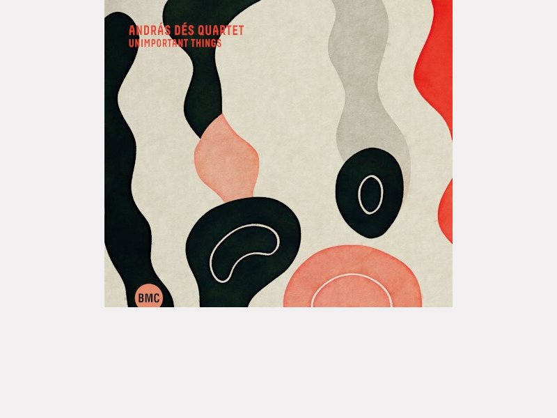 ANDRÁS DÉS QUARTET . Unimportant Things