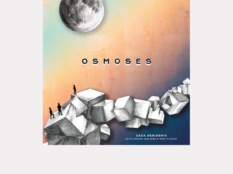 ZAZA DESIDERIO . Osmoses