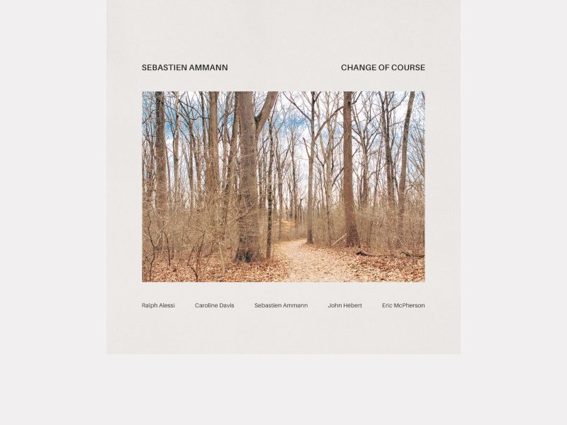 SEBASTIEN AMMANN . Change of Course