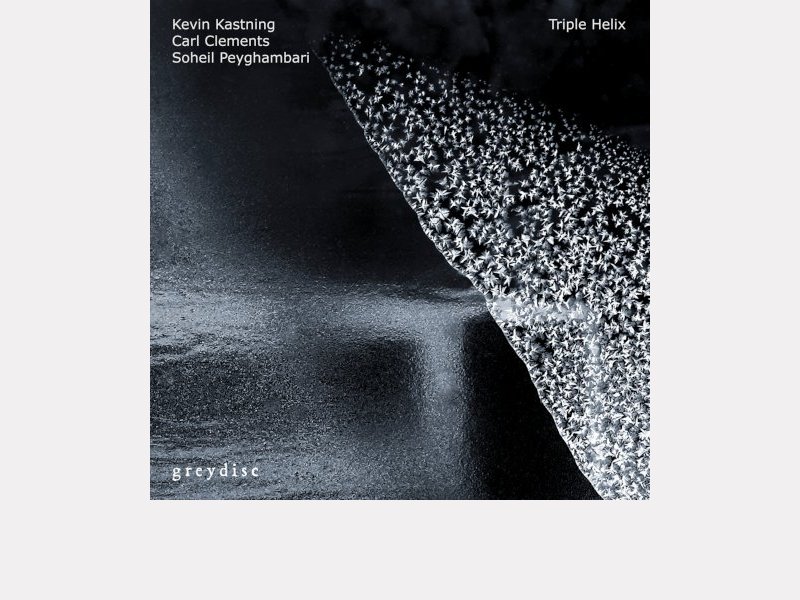 KEVIN KASTNING- CARL CLEMENTS - SOHEIL PEYGHAMBARI . Triple Helix