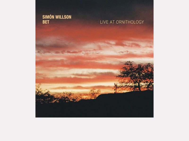 SIMÓN WILLSON . Bet – Live at Ornithology