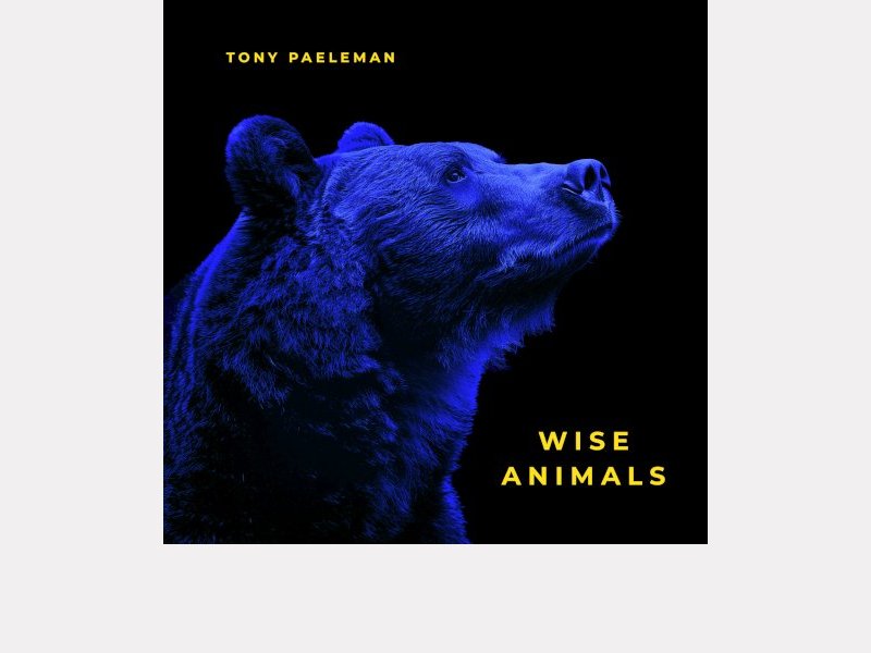 TONY PAELEMAN . Wise Animals
