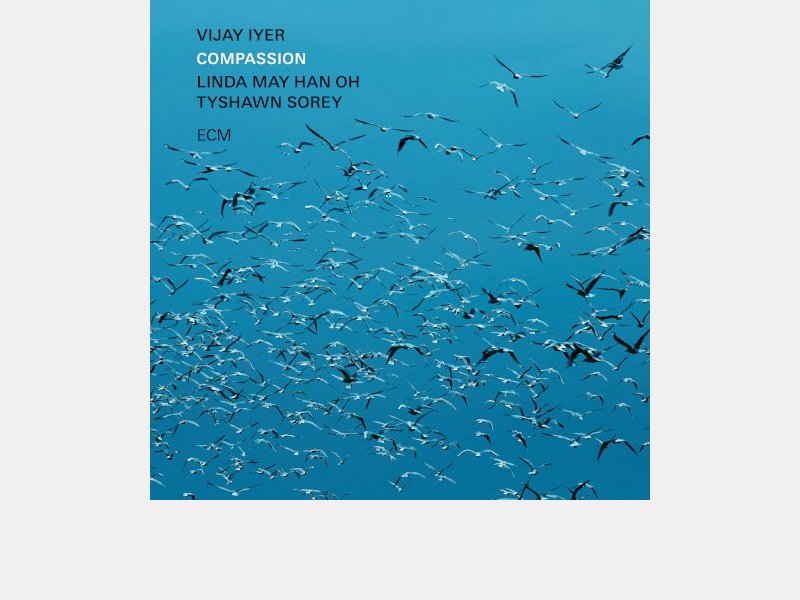 VIJAY IYER . Compassion