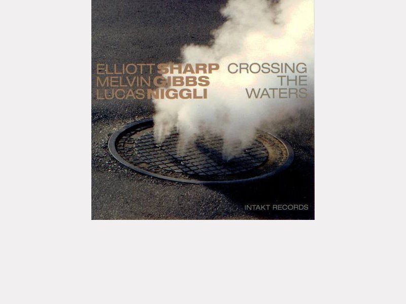 Elliott Sharp / Melvin Gibbs / Lucas Niggli : "Crossing the Waters" 