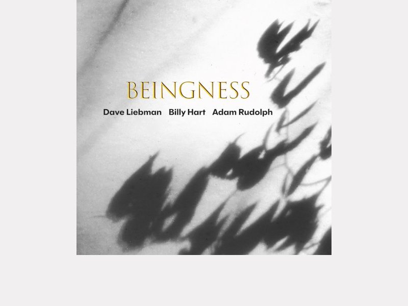 DAVE LIEBMAN - BILLY HART - ADAM RUDOLPH . Beingness