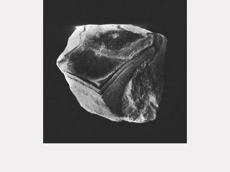 SNOWDROPS . Singing Stones (Volume 1)