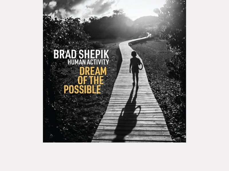 BRAD SHEPIK . Human Activity : Dream of the Possible