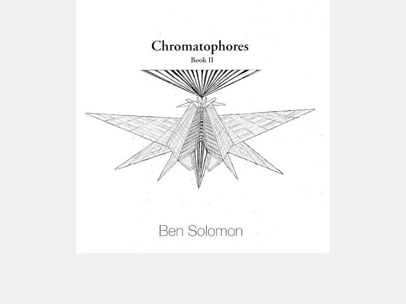 BEN SOLOMON . Chromatophores II