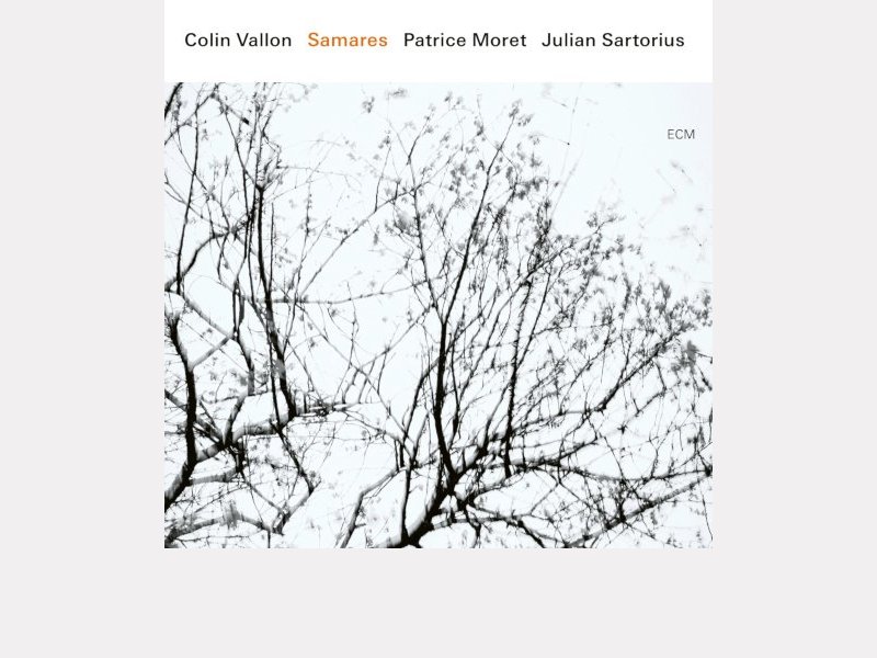 COLIN VALLON - PATRICE MORET - JULIAN SARTORIUS . Samares