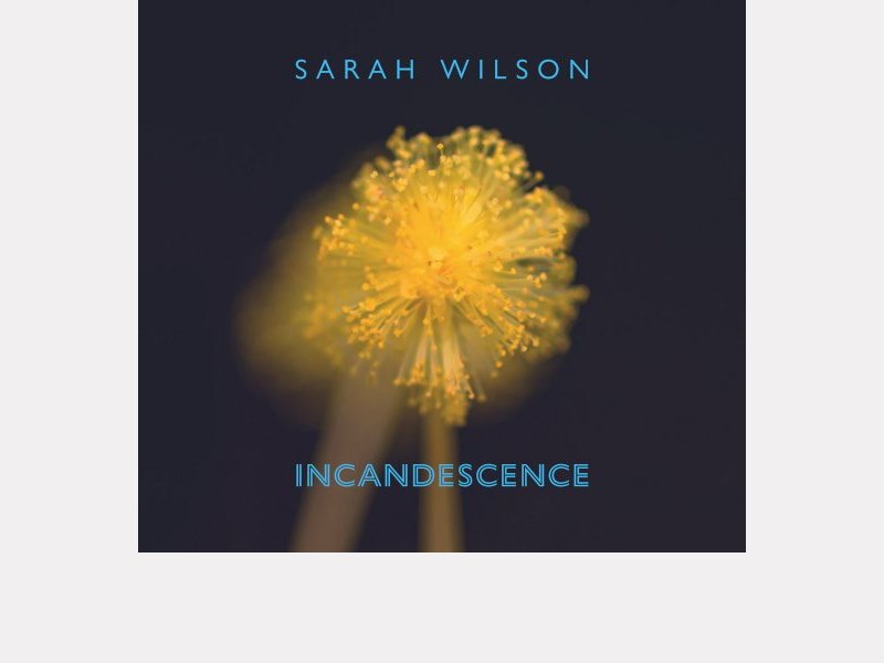SARAH WILSON . Incandescence