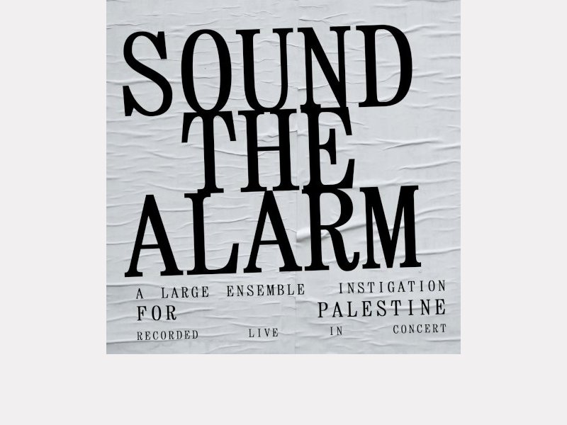 SOUND THE ALARM . A Large Ensemble Instigation For Palestine