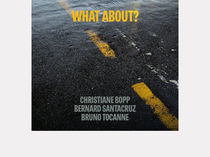 CHRISTIANE BOPP - BERNARD SANTACRUZ - BRUNO TOCANNE . What About ?