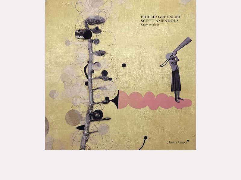 Phillip Greenlief & Scott Amendola . Stay With It