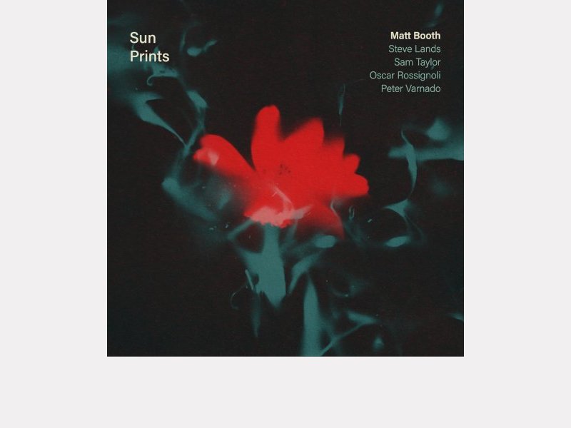 MATT BOOTH . Sun Prints