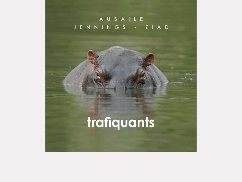 David Aubaile Trio . Trafiquants