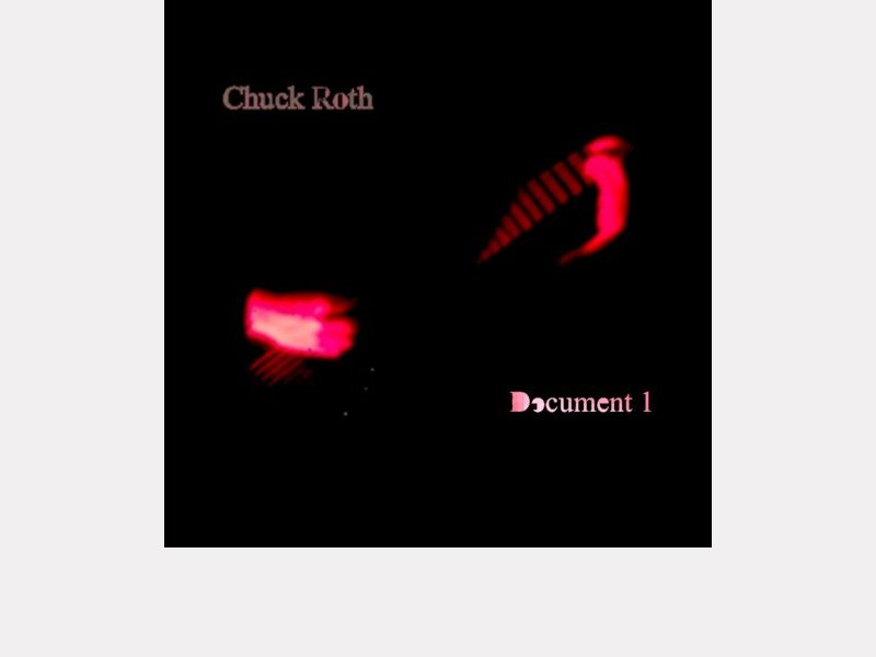 CHUCK ROTH . Document 1