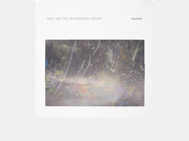 JOEL AND THE NEVERENDING SEXTET . Marbled