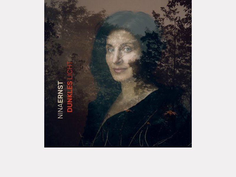 NINA ERNST . Dunkles Licht