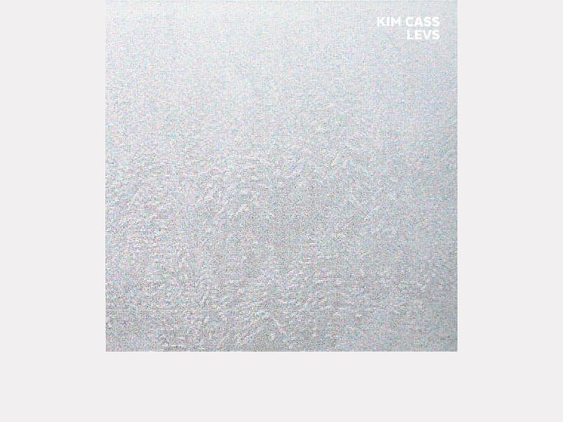 KIM CASS . Levs
