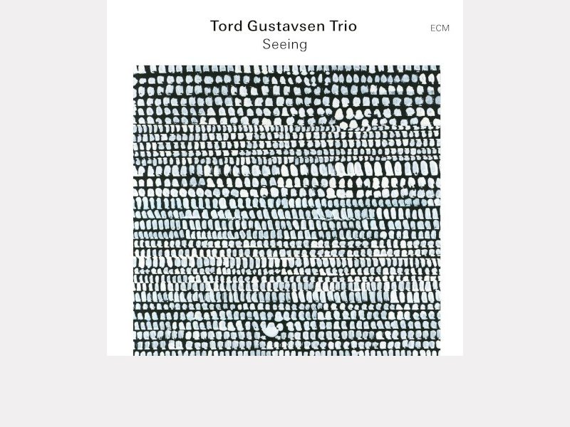 TORD GUSTAVSEN TRIO . Seeing