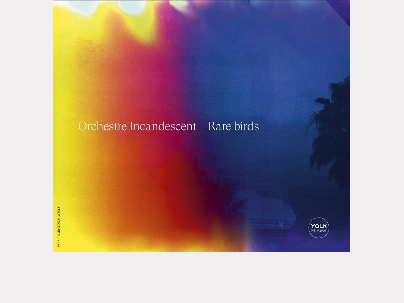 ORCHESTRE INCANDESCENT . Rare birds