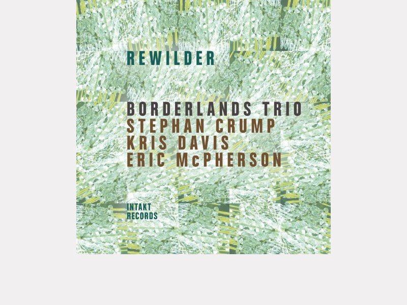 BORDERLANDS TRIO - STEPHAN CRUMP - KRIS DAVIS – ERIC MCPHERSON . Rewilder